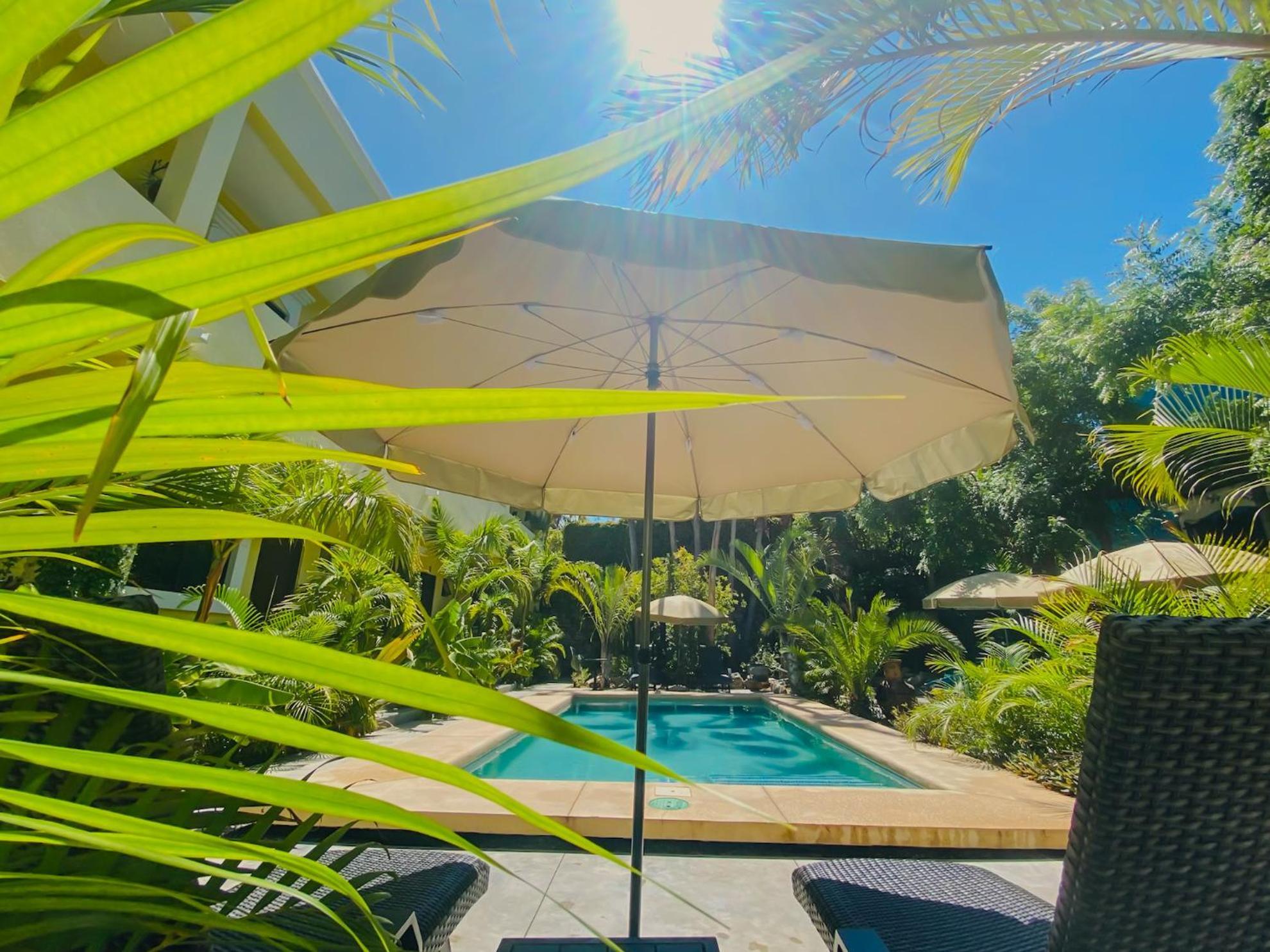 Gallo Azul Hotel, En El Corazon De โทโดส ซานโตส ภายนอก รูปภาพ
