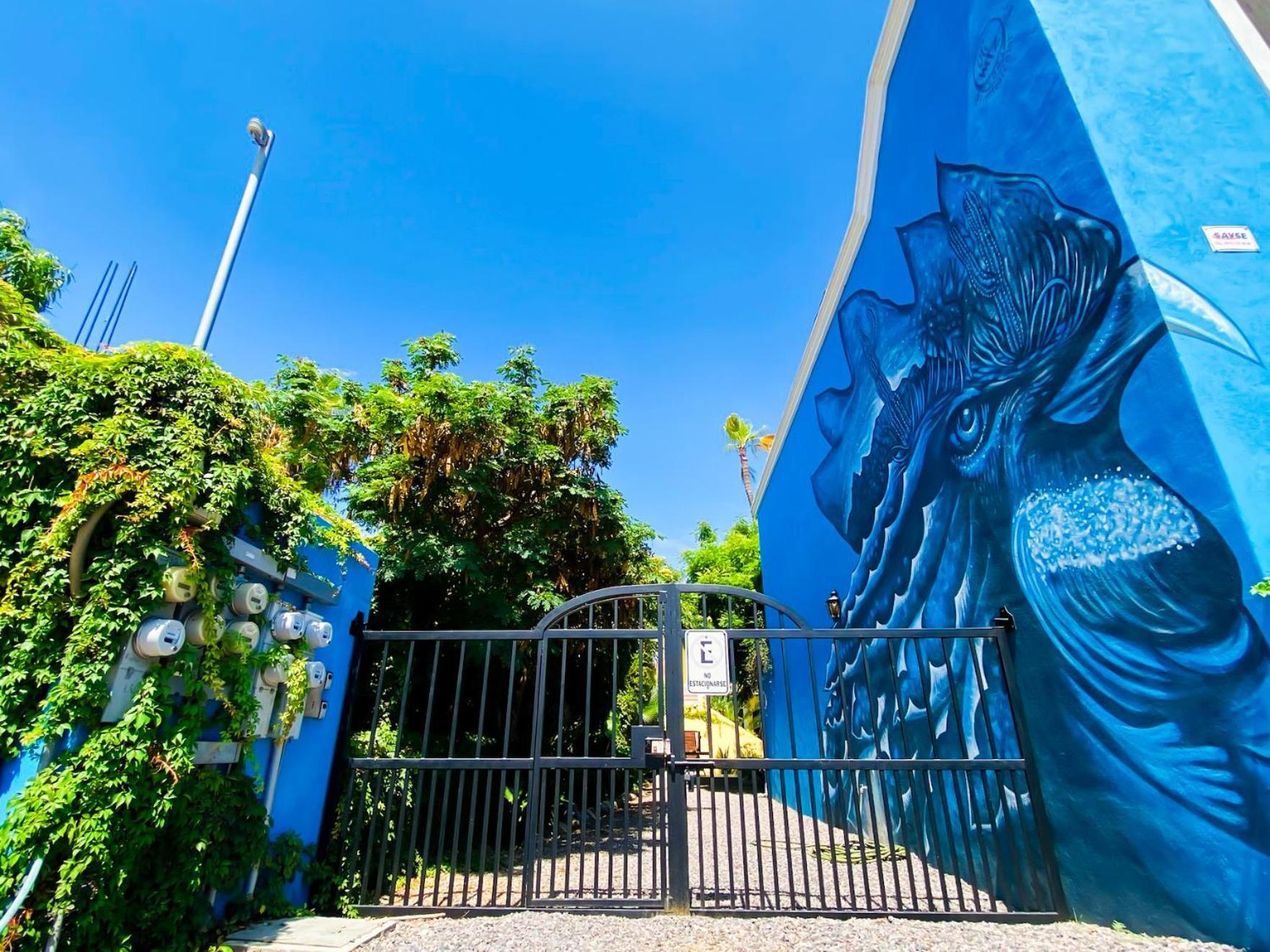 Gallo Azul Hotel, En El Corazon De โทโดส ซานโตส ภายนอก รูปภาพ
