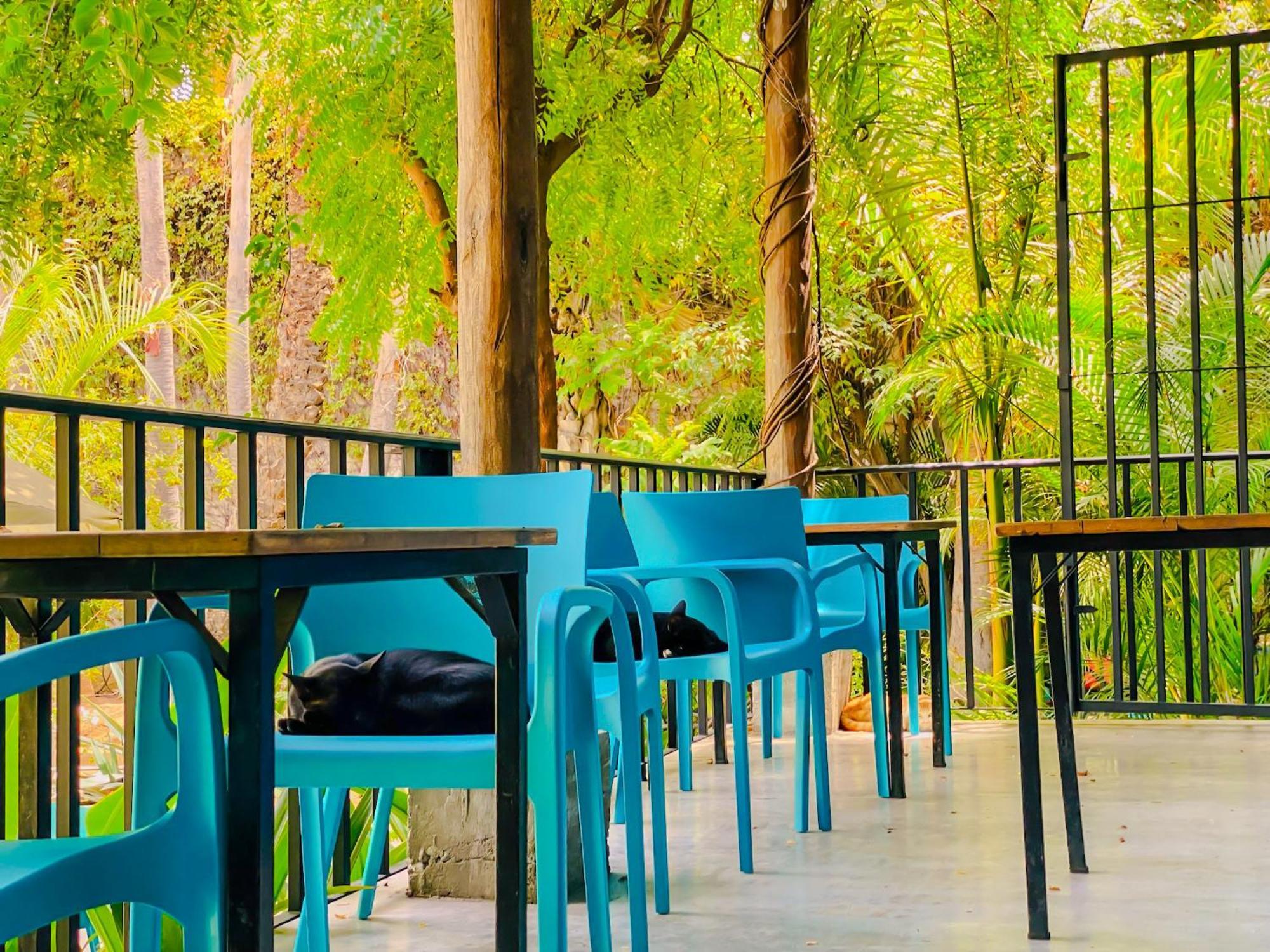 Gallo Azul Hotel, En El Corazon De โทโดส ซานโตส ภายนอก รูปภาพ